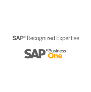 Sap Business One Partner